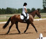 Friesian Heritage horse mare, Bella Danali & Ridder Racheal Sit 