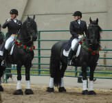 Tyra Vernon & Brittany with Approved stallions El Dante & Elijah