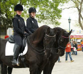 Hershey & Truus ridden by Shanna Brack & Claire Roiland