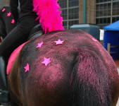 Celebrity-decorated butt