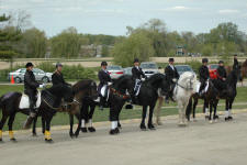 The Friesian Heritage Horse Group