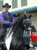 Bizkit with ridder Terry-Owned by Dream Gait Friesians