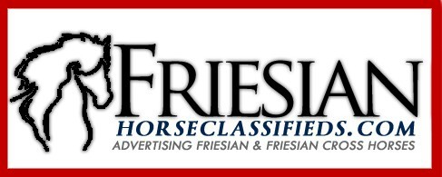 Friesian Horse Classifieds